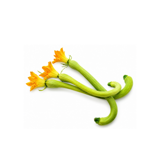 pagina-abbascia-zucchine-nane-con-fiore